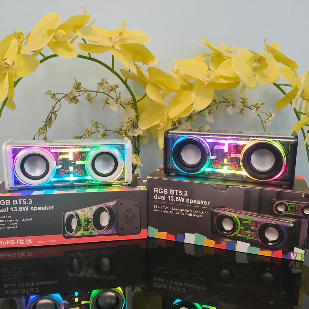 RGB BT5.3 Dual Speaker with LED Lights